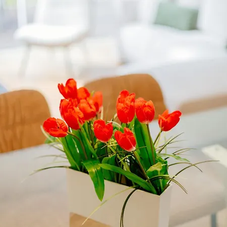 Feriehus Bestvillas Park Ofir