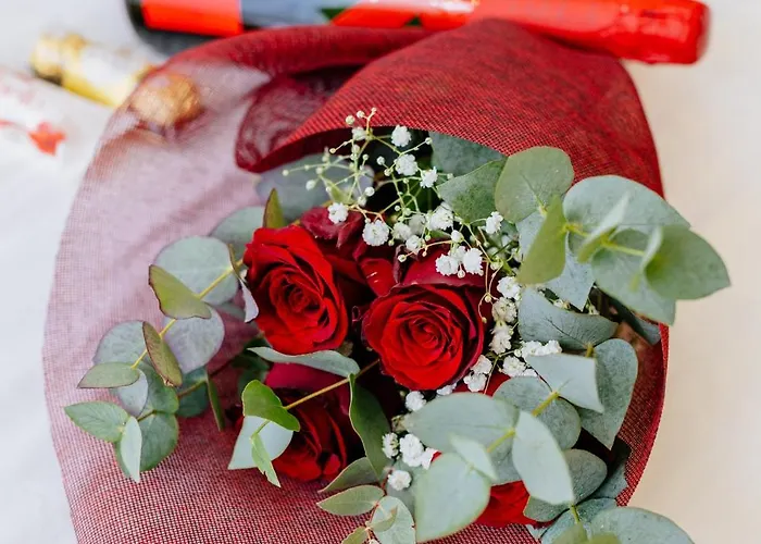 Bestvillas Park Ofir * Εσποσέντε